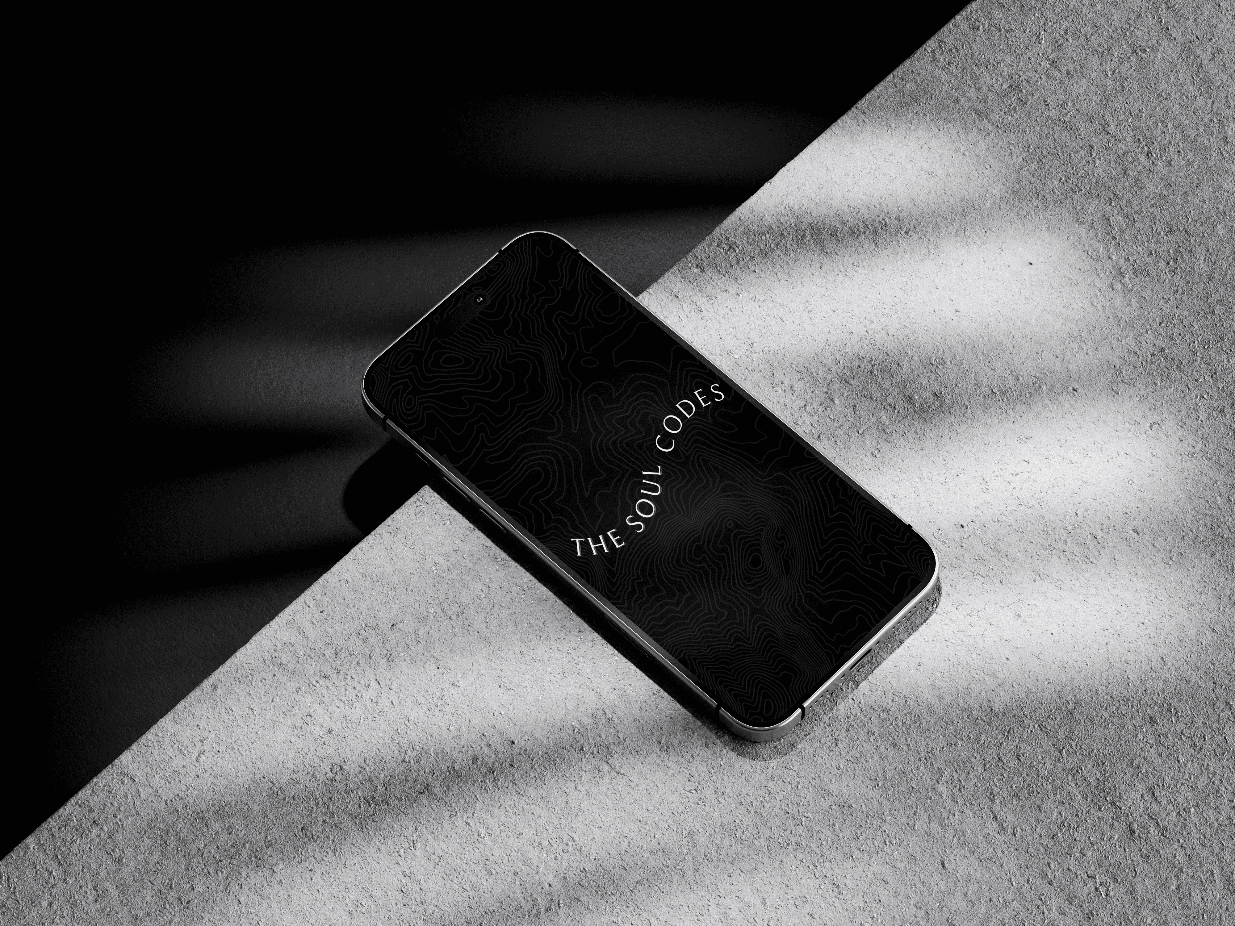 The soul codes - Logo case study visual 4